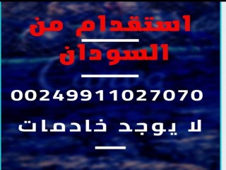 رعاه اغنام وابل من السودان 